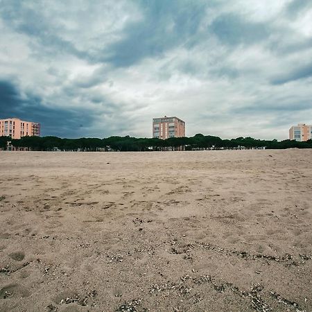 Studio Les Pieds Dans L'Eau Argeles Sur Mer Argelès-sur-Mer Exterior foto