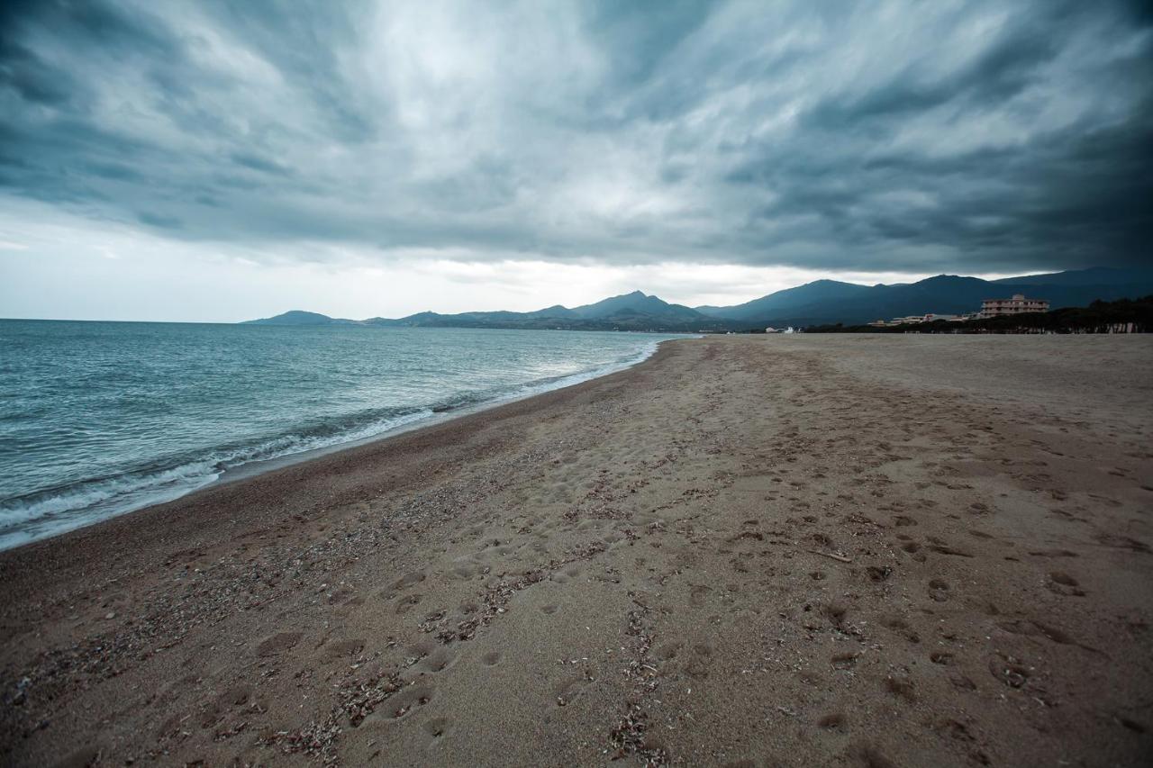 Studio Les Pieds Dans L'Eau Argeles Sur Mer Argelès-sur-Mer Exterior foto