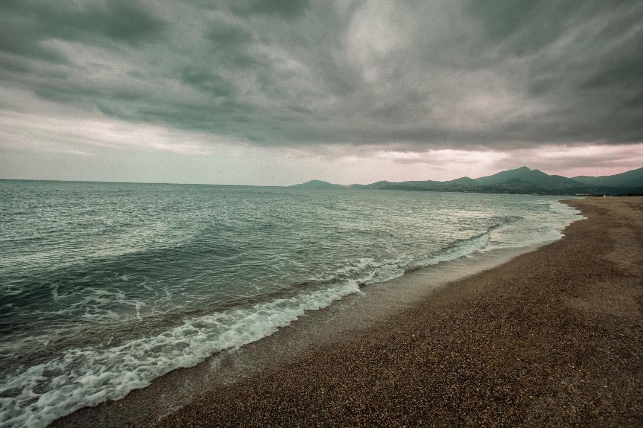 Studio Les Pieds Dans L'Eau Argeles Sur Mer Argelès-sur-Mer Exterior foto