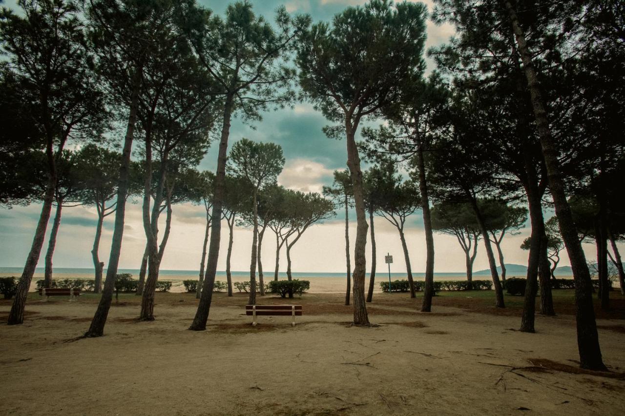 Studio Les Pieds Dans L'Eau Argeles Sur Mer Argelès-sur-Mer Exterior foto